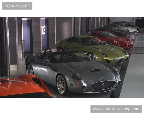 莫兰特家车库比我家还大，里面停的车比我见过的都贵