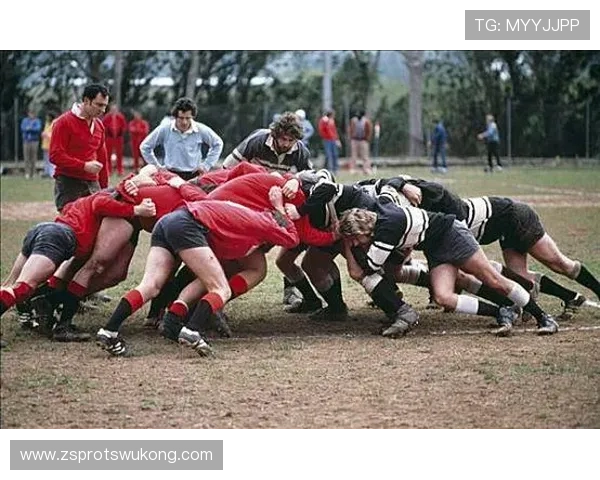 争球规则详解：何时使用及执行标准
